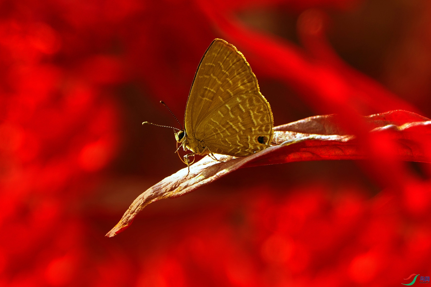 ���� (7).JPG