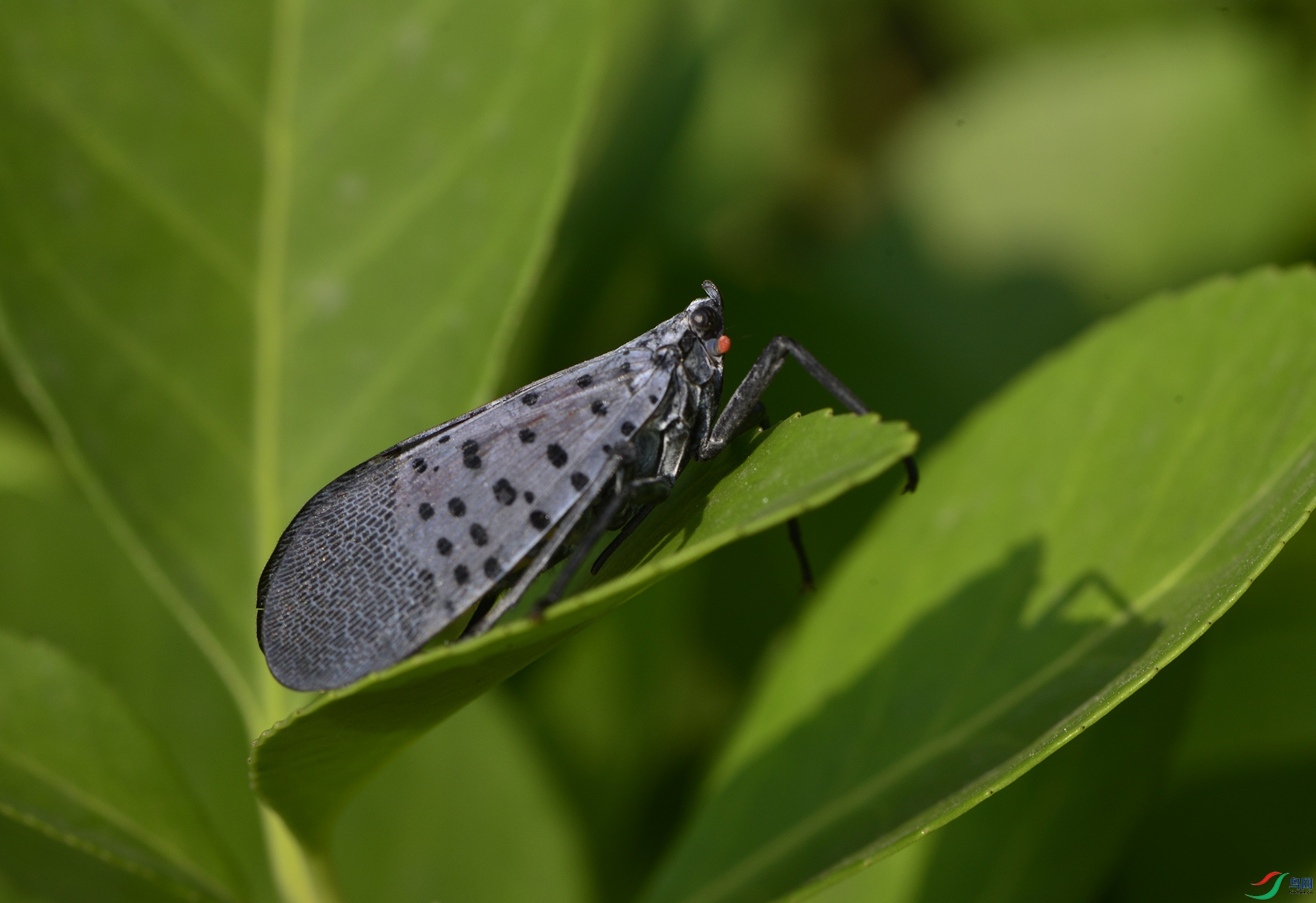 ������Ӱ 1450����.jpg