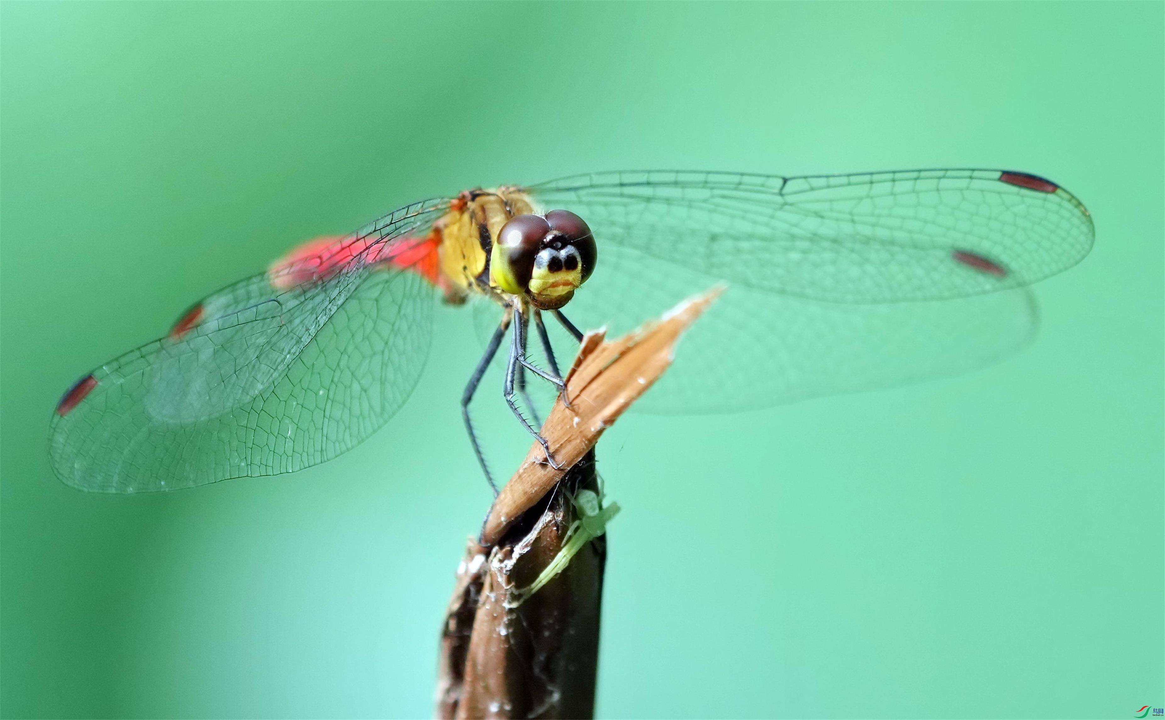 DSC09426_��ͼ��(1)(1).jpg