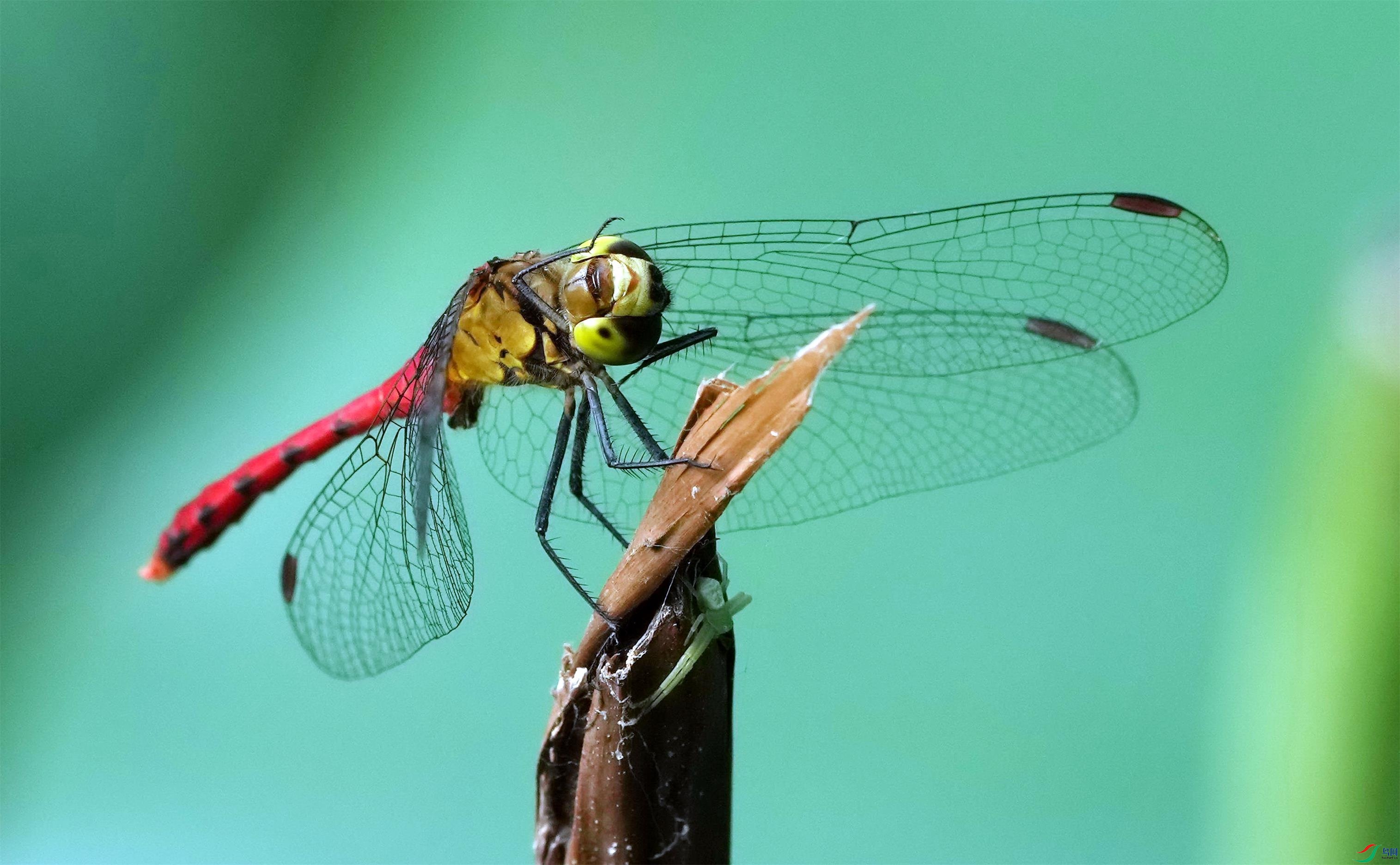 DSC09446_��ͼ��-01.jpg