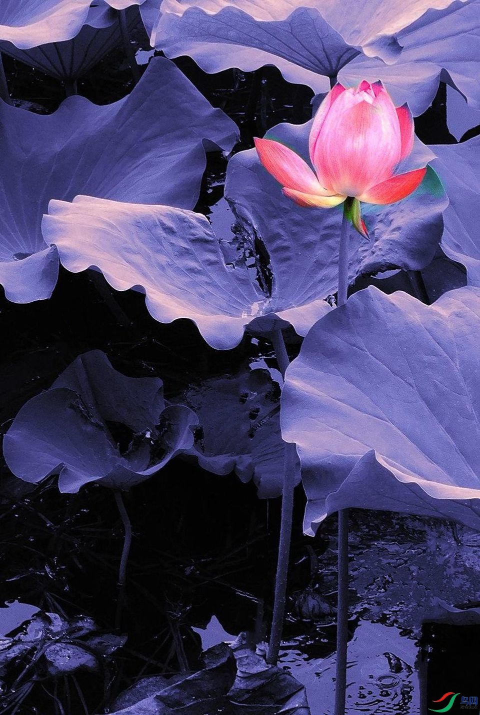 793 (65)_����.jpg