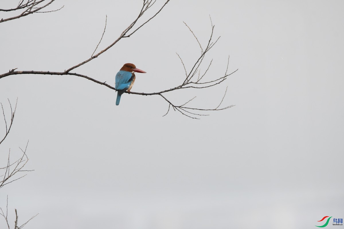_DSC9460a.jpg