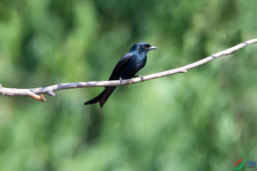 DSC_3280a.jpg