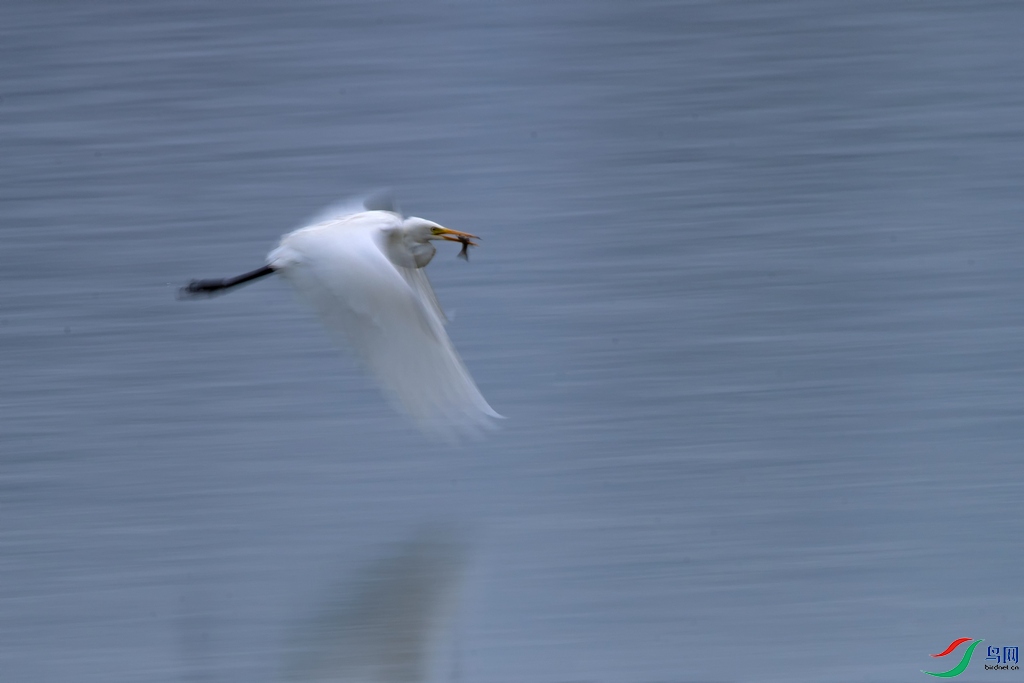 DSC_5524a.jpg