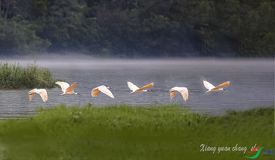 A30I2014 ����a-1.jpg