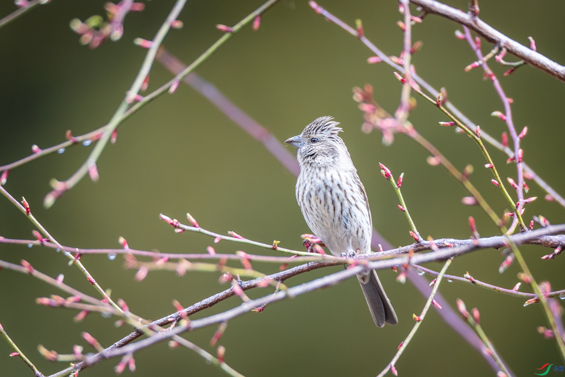 �����ȸ[��]