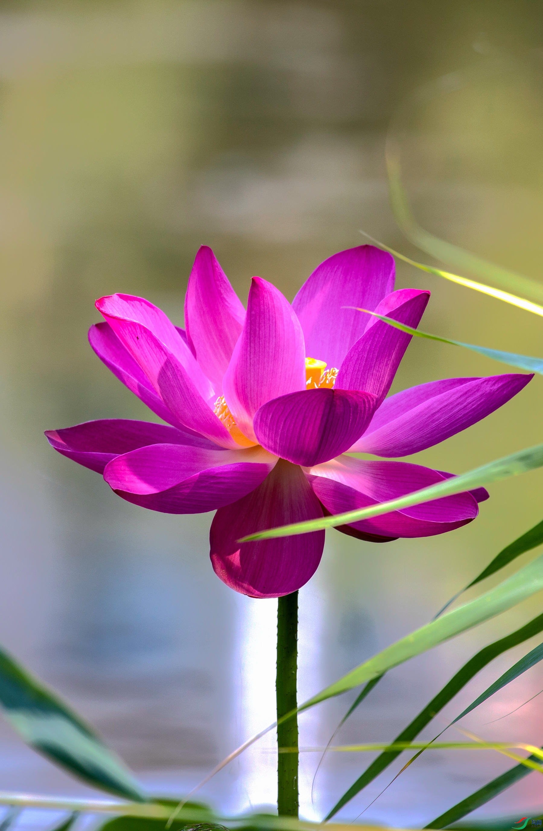 ���º��� (1).jpg