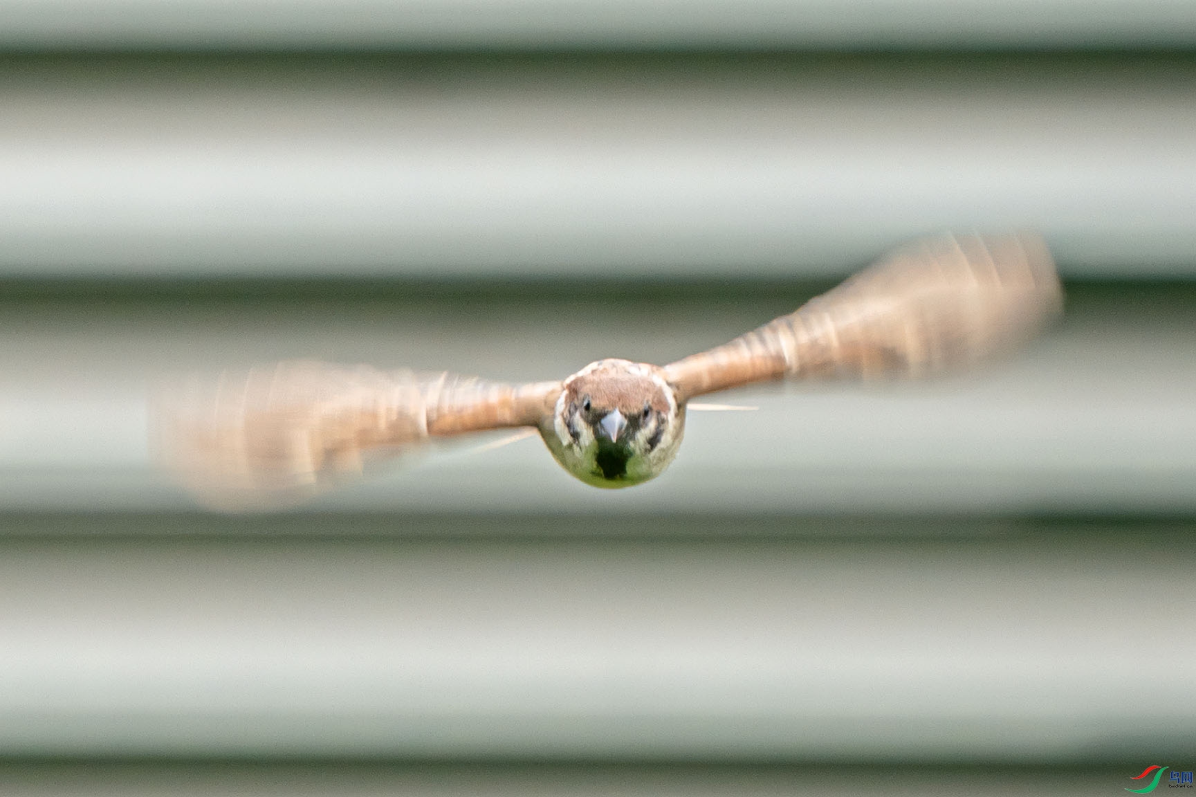 DSC05132.jpg