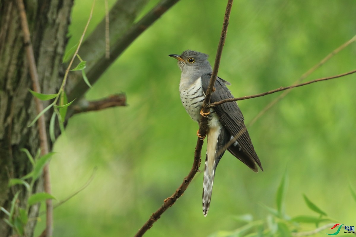 �ž� 0F4A4035.jpg