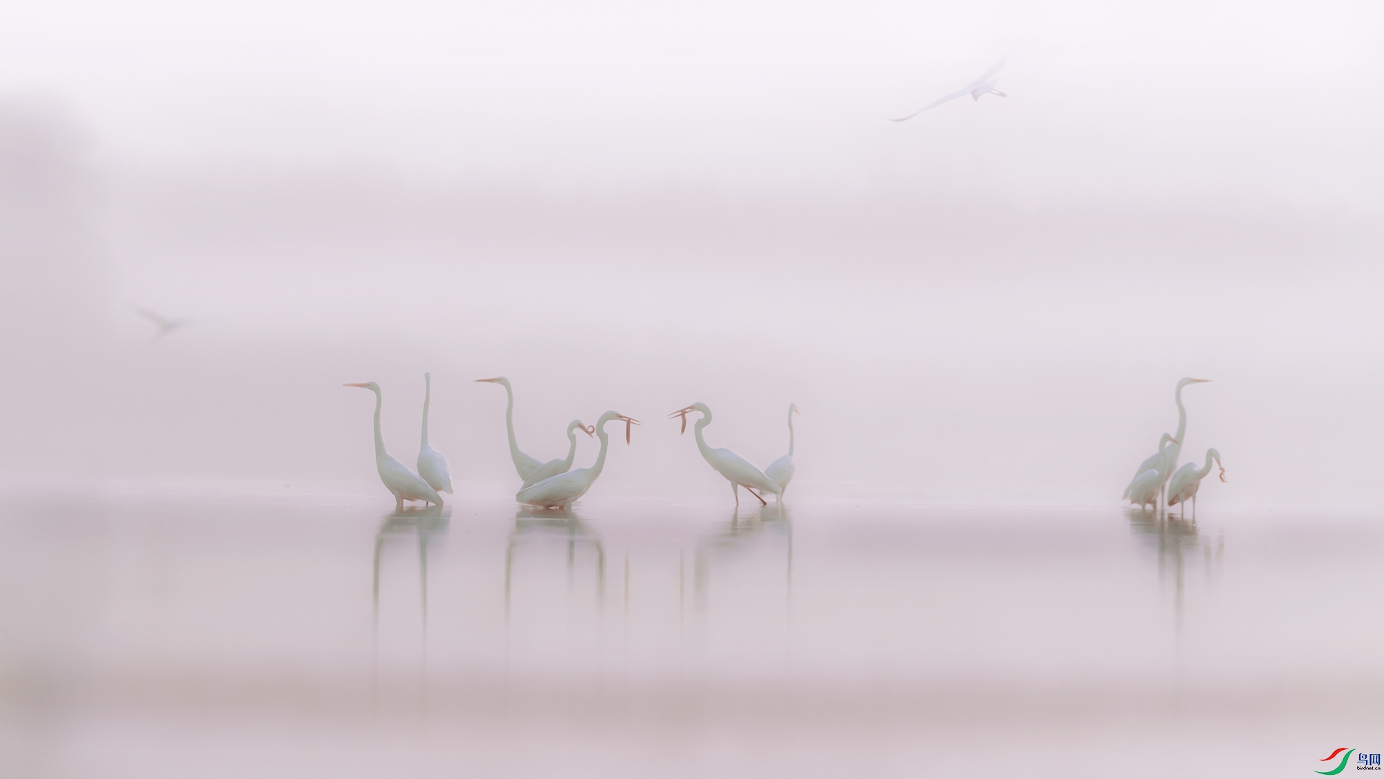 B74I1685-1aaa1.jpg
