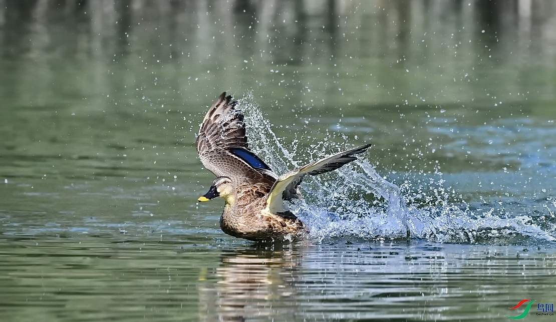 DSC_0660.JPG