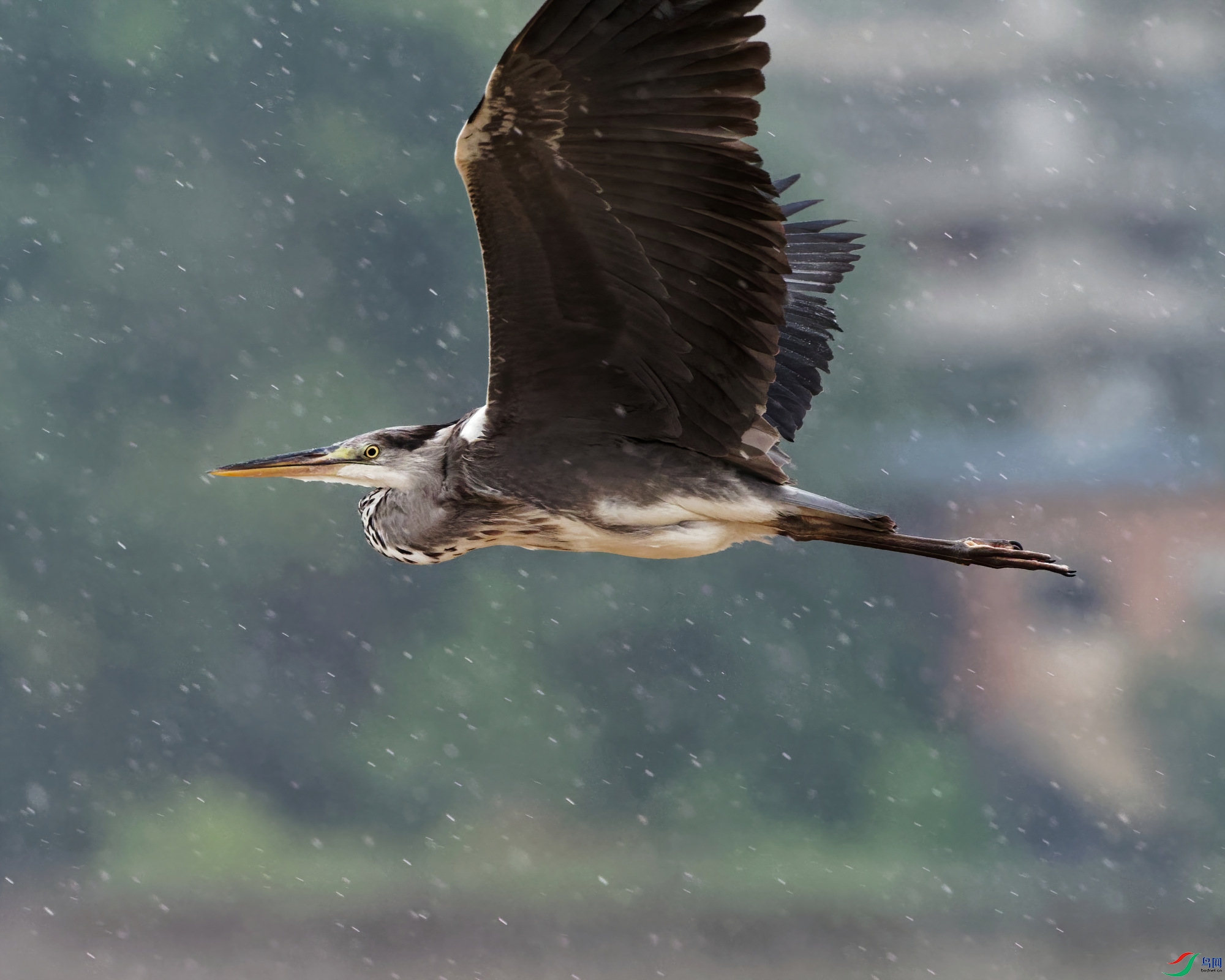 P9040052_DxO-d2.jpg