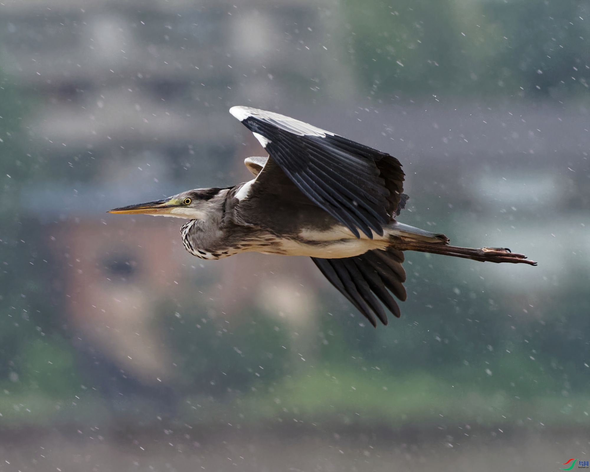 P9040051_DxO-d2.jpg