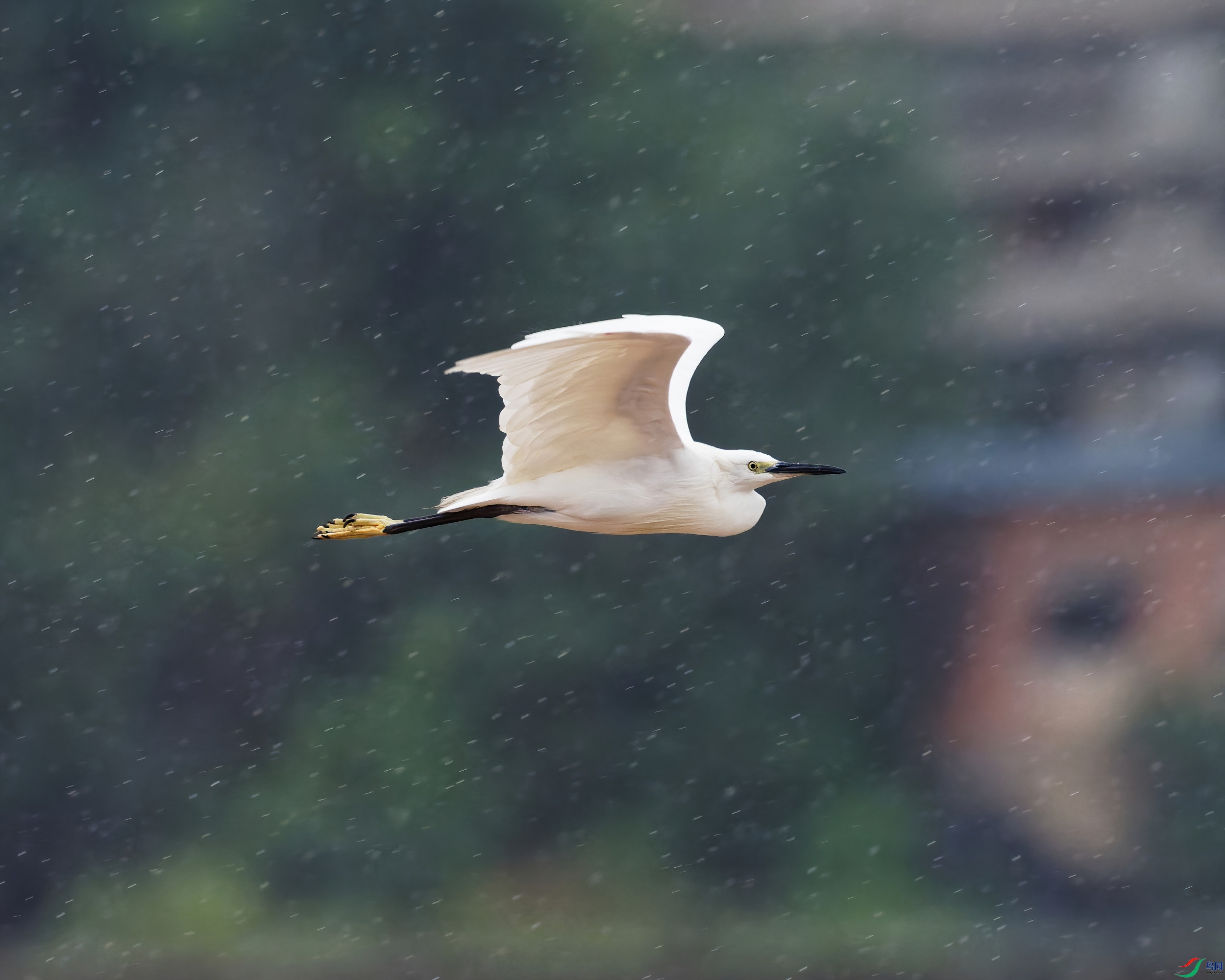 P9040140_DxO-d2.jpg