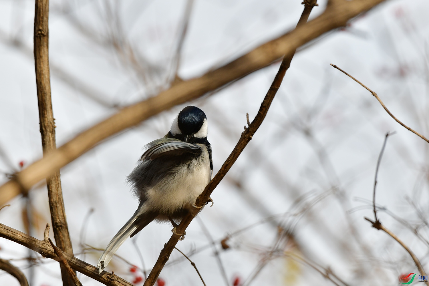DSC_6759.jpg