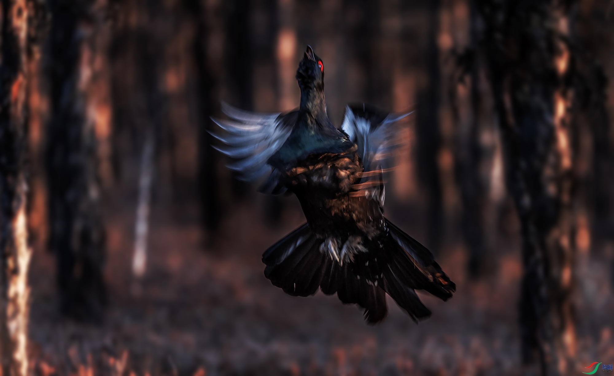 �����ɼ�