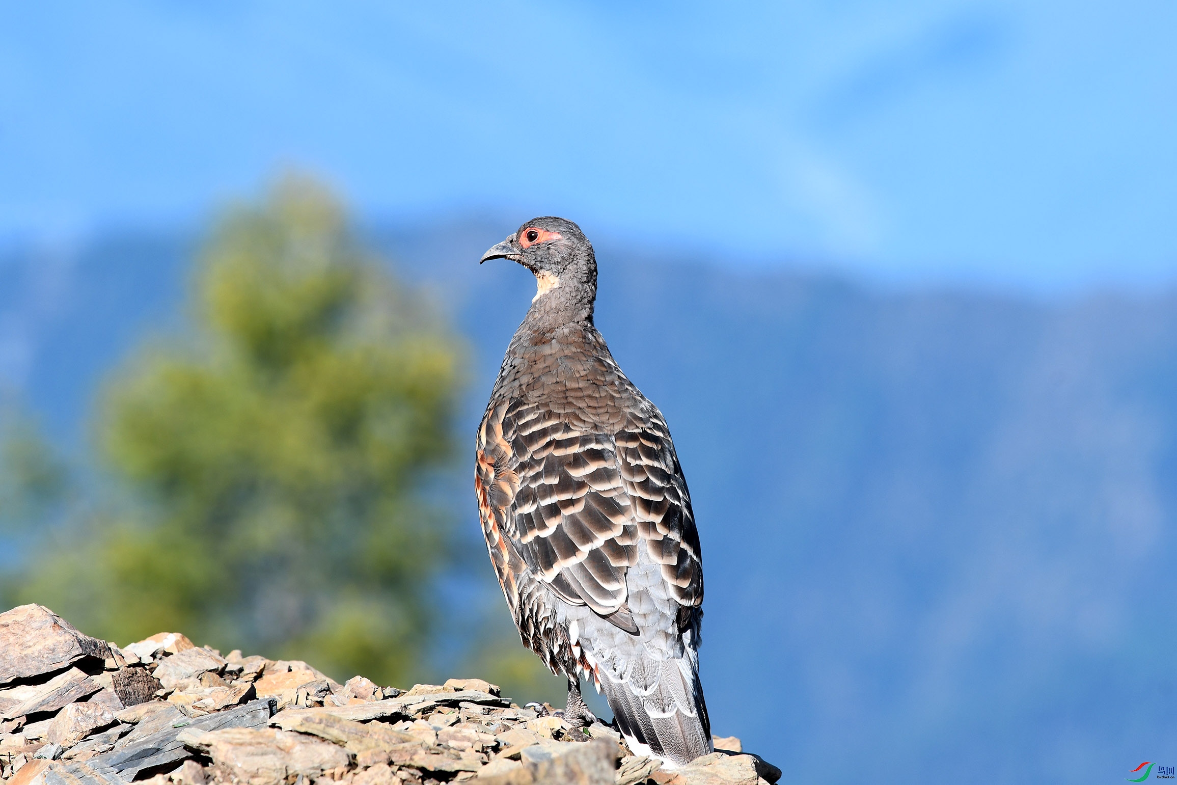 DSC_5201.JPG