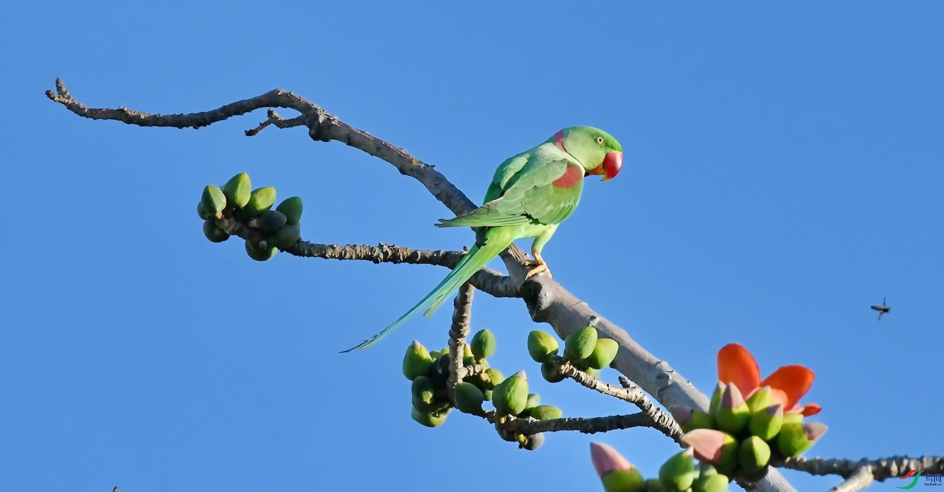 DSC_7575.JPG