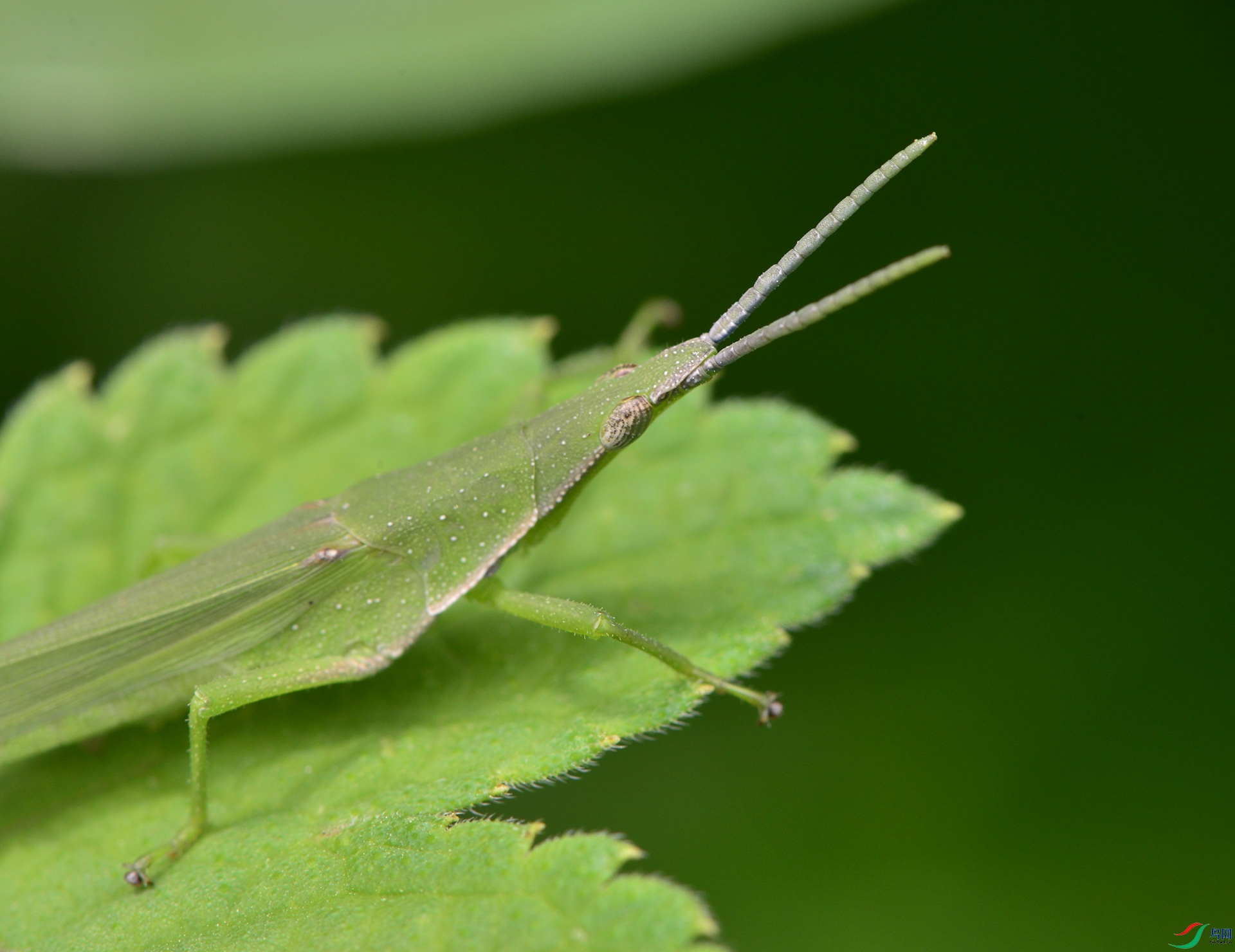 ������Ӱ 1635����.jpg