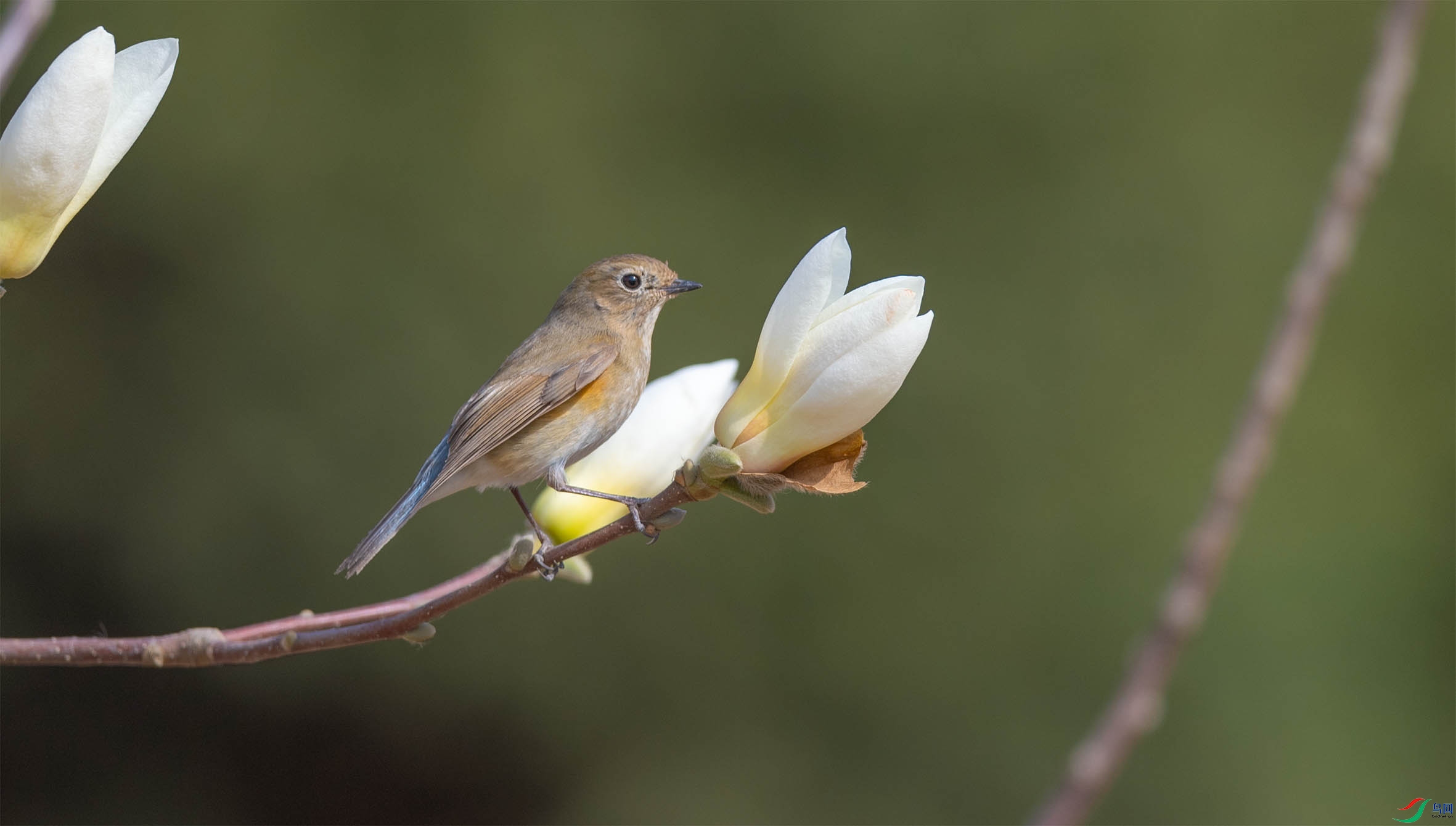 DSC_0380-2 - ���� - ���� (2).jpg