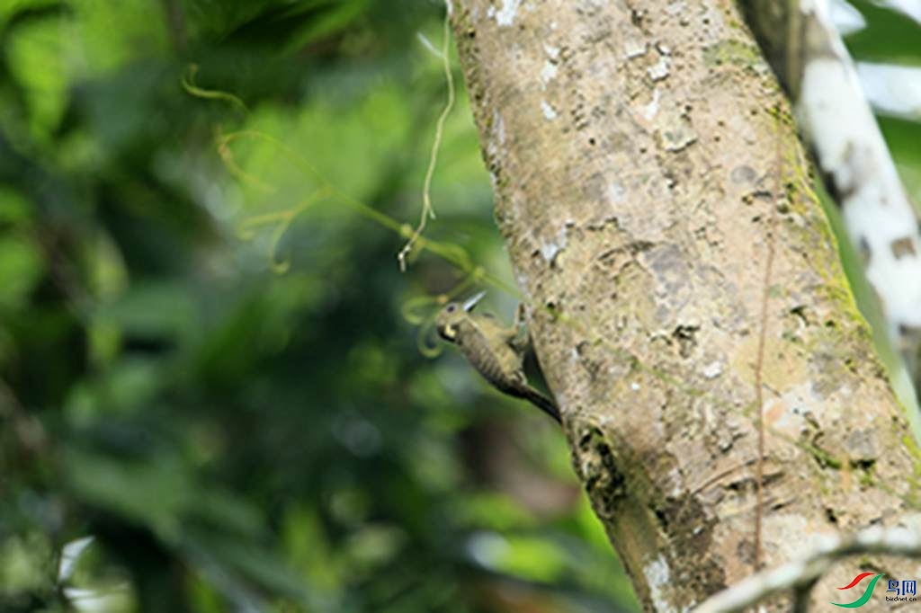 132.jpg