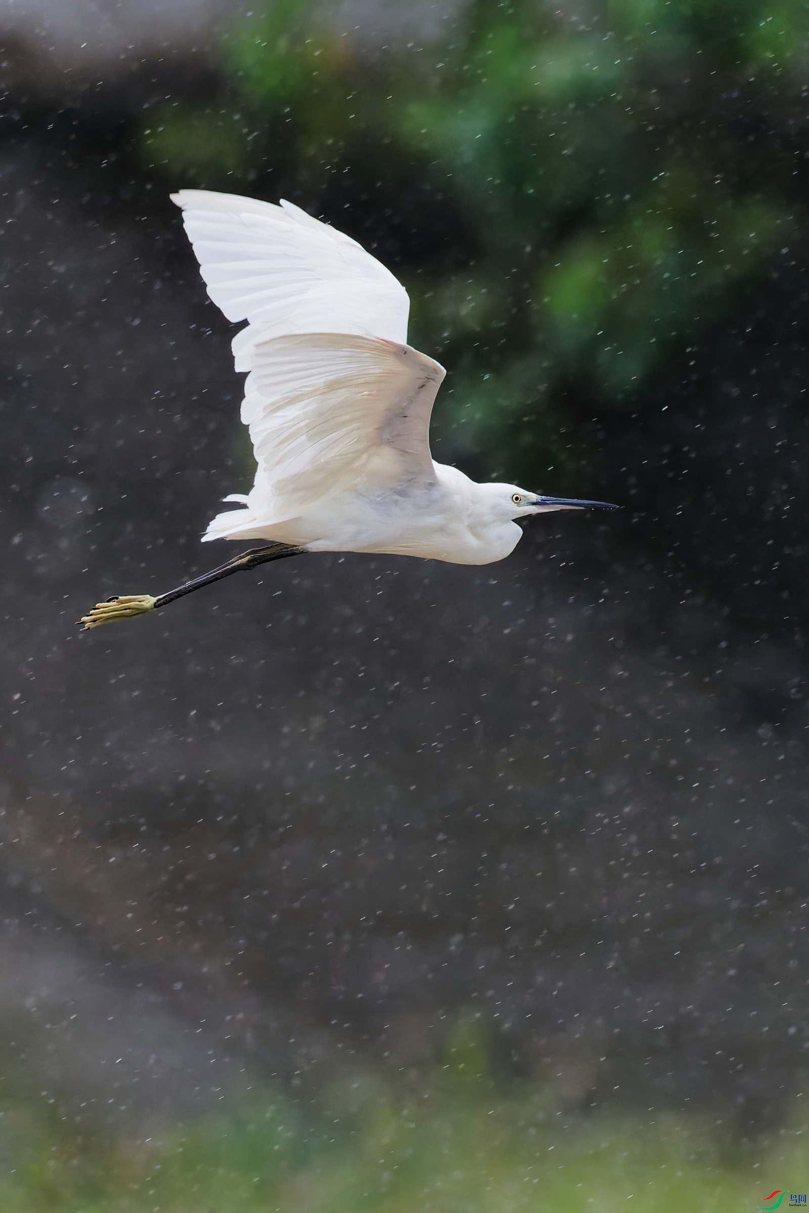 P9040251_DxO-d2.jpg