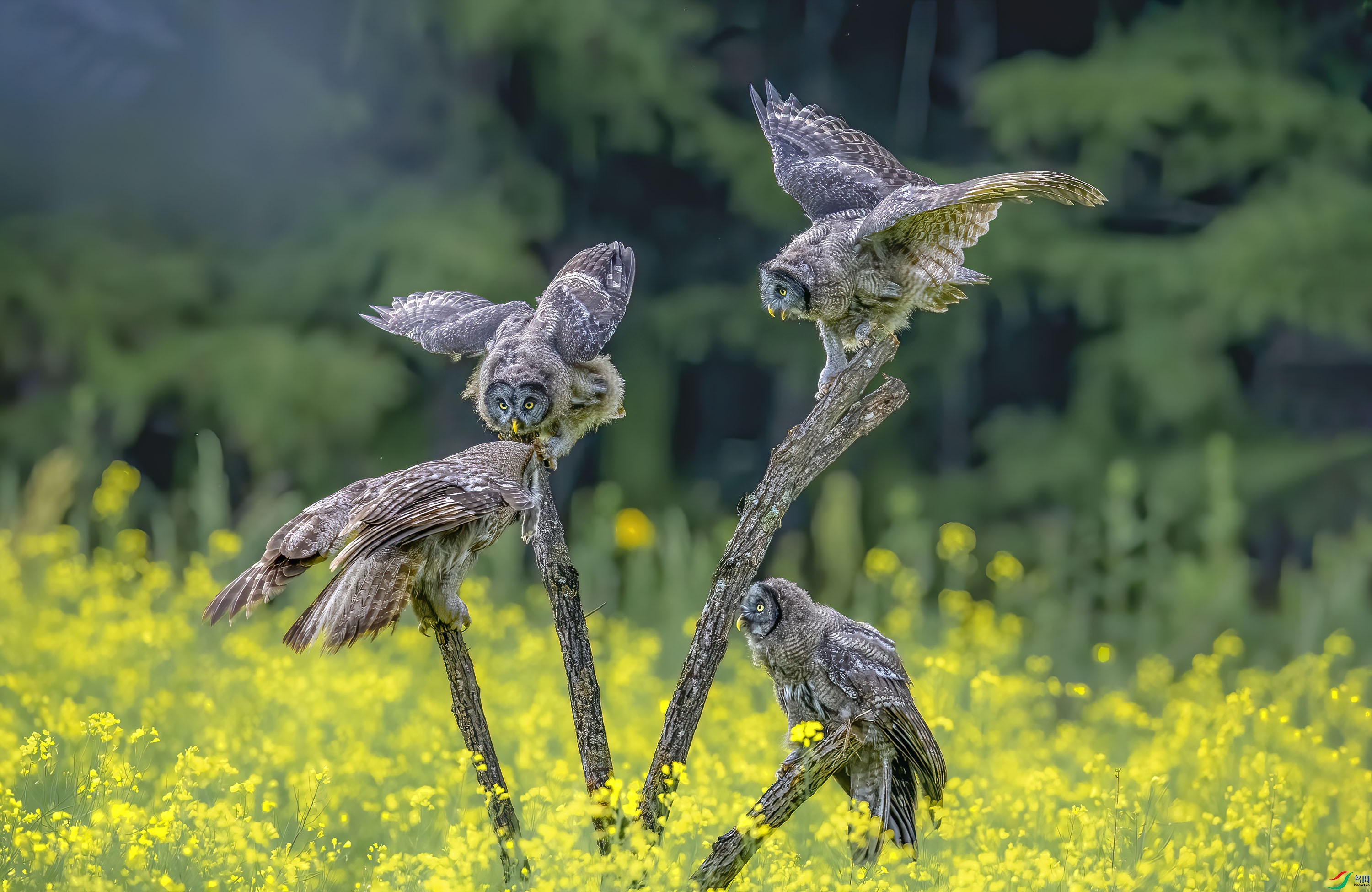 _JLN9794     ok     ok.jpg