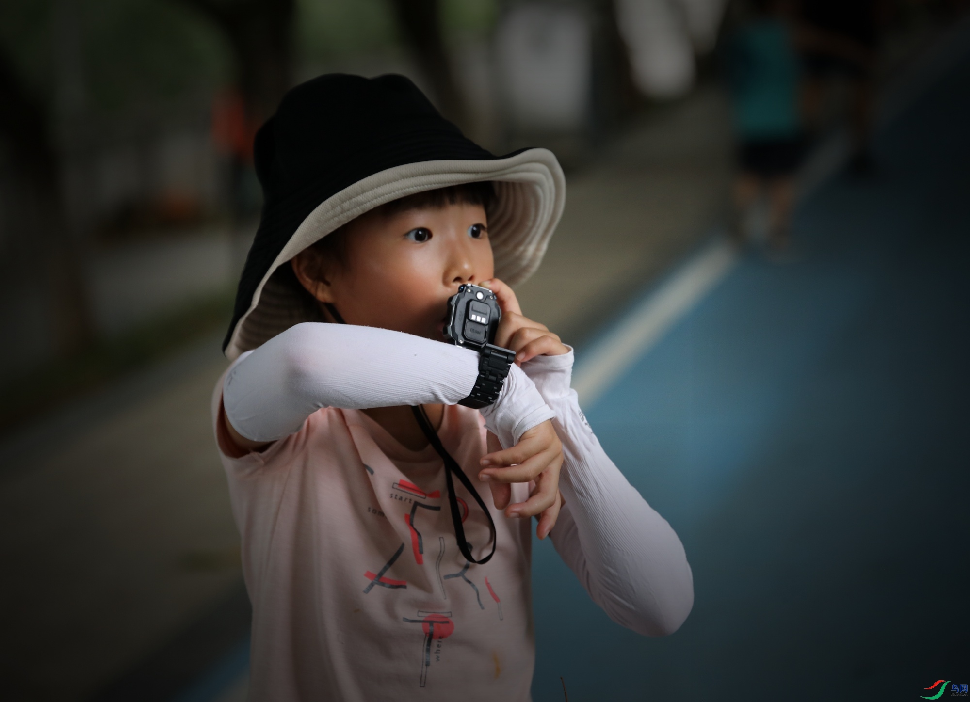 ���裬���裬���������