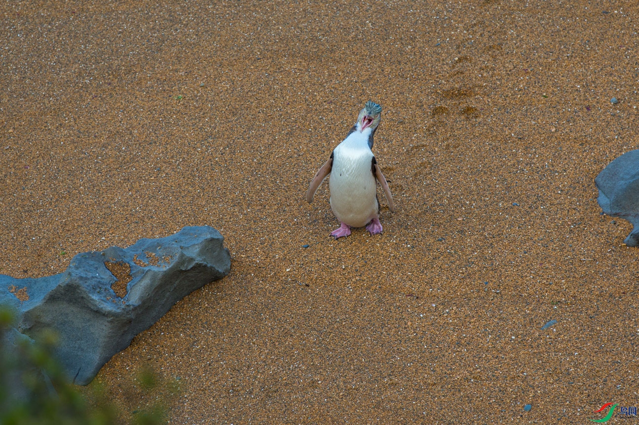 �����л�