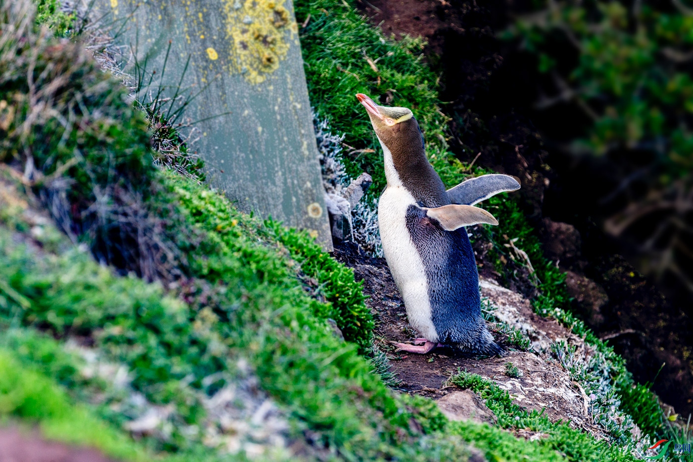 ����������