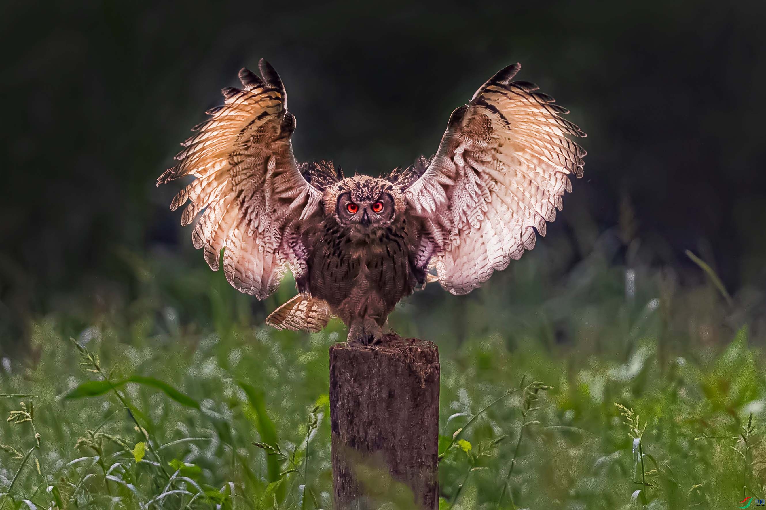 A95I8879 ����.jpg