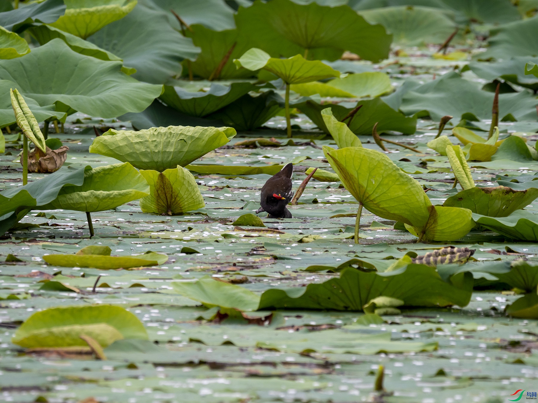 ��ˮ������һ��3