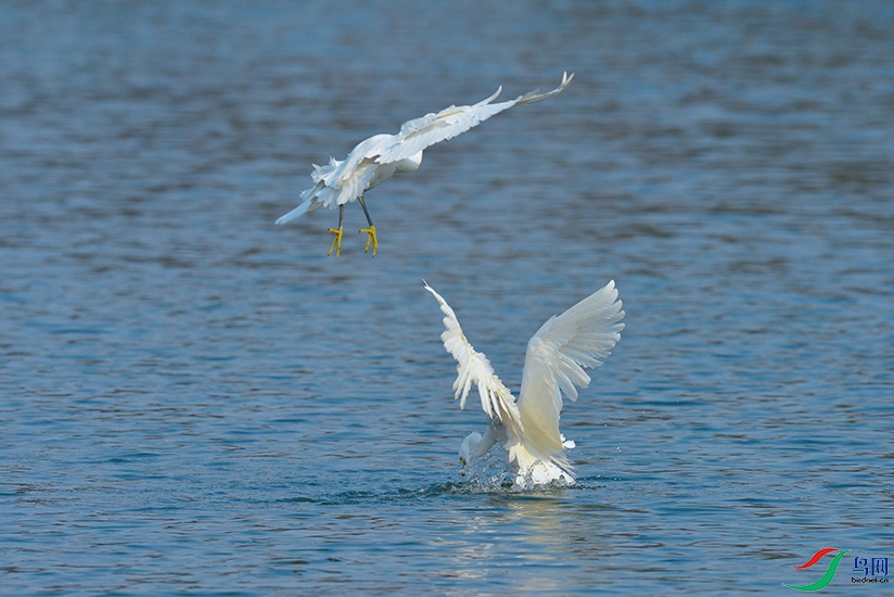 DSC_7608_DxOa.jpg
