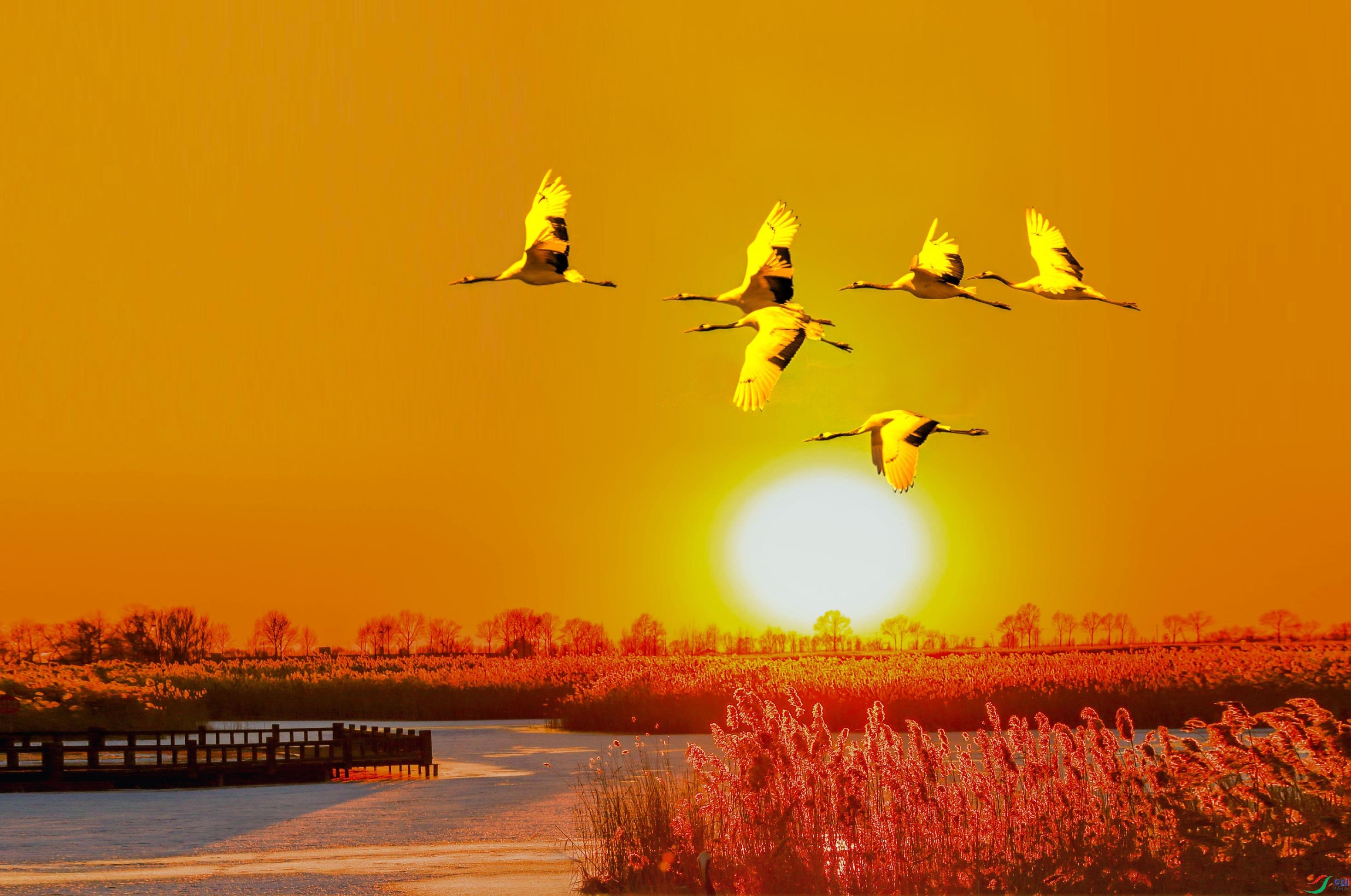 _70I4789=01    չ�����.jpg