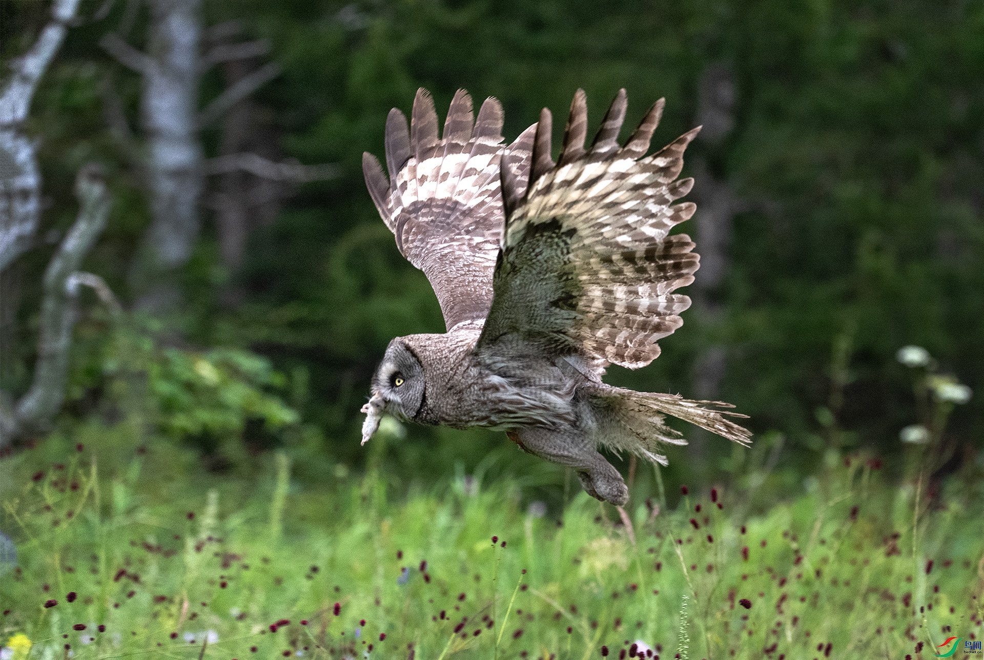 DSC_3086.jpg