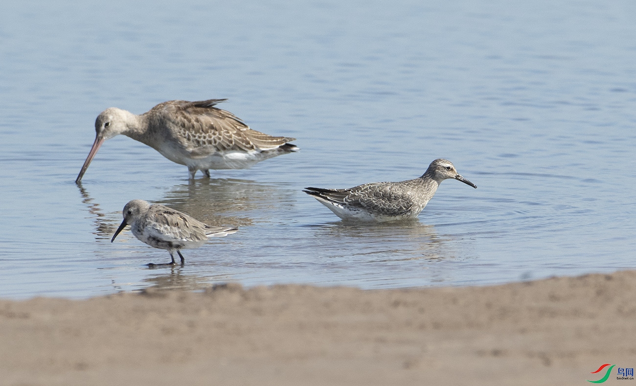 �������β���֡��ڸ����ֵı�����ϵ