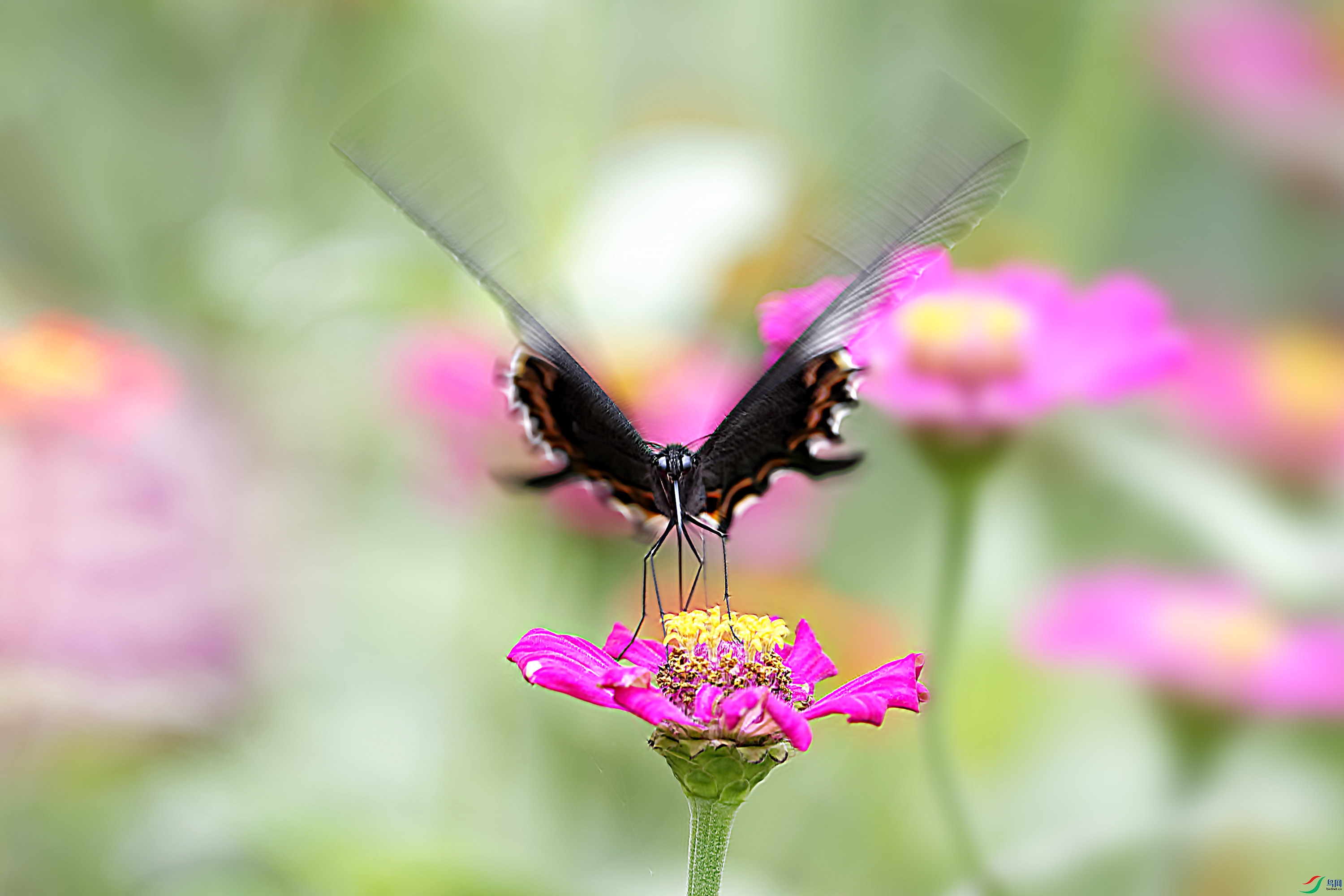 _DSC1497_DxO.jpg