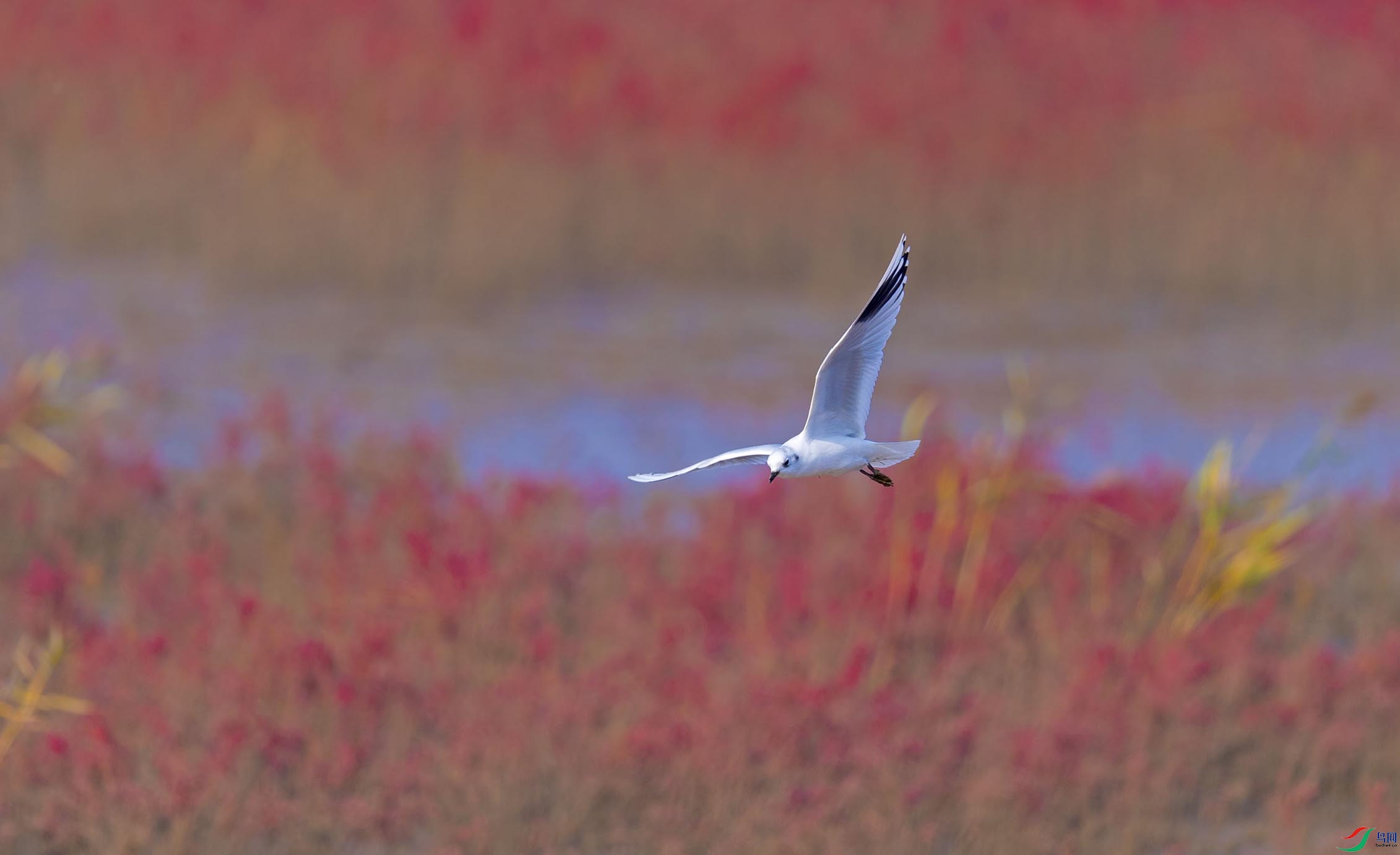 DSC_0848-3 - ����.jpg