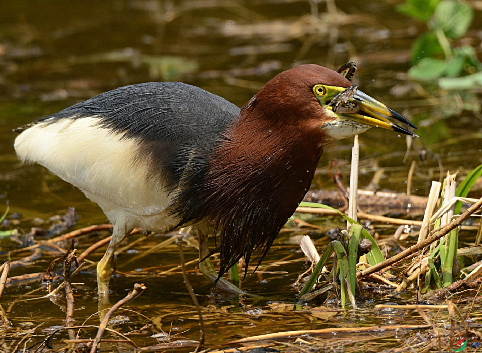 DSC_3099.jpg