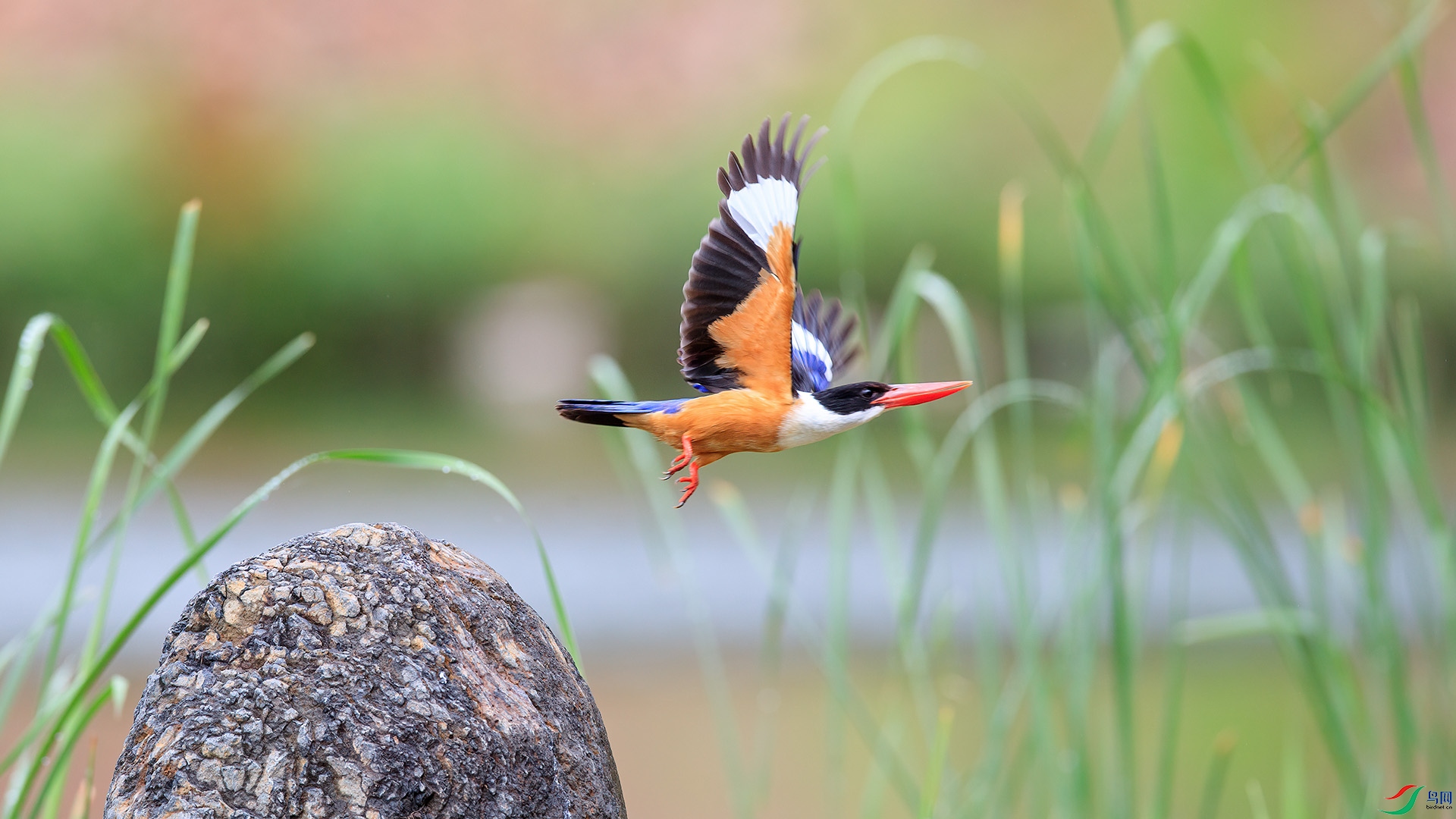 1DX_9577 ���� 2.jpg