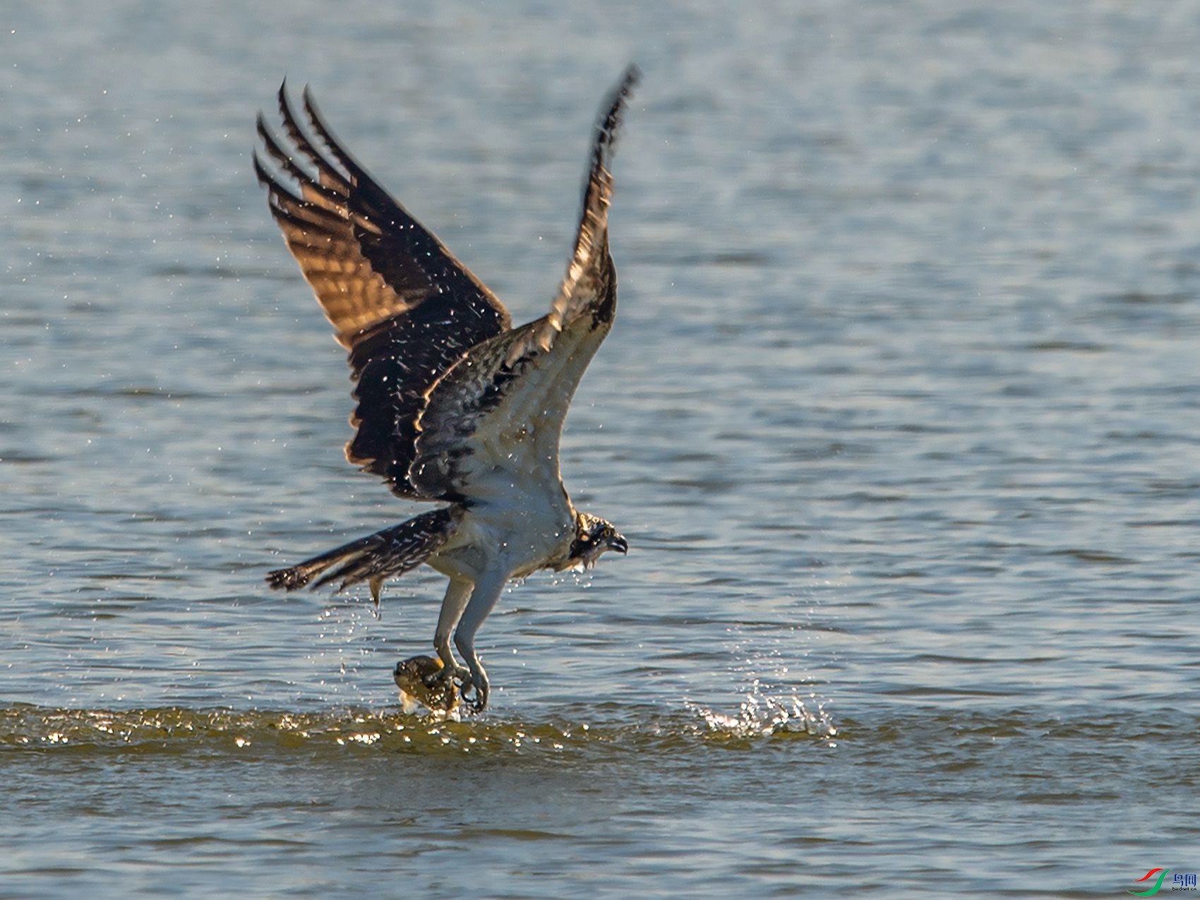 DSC_6506.jpg