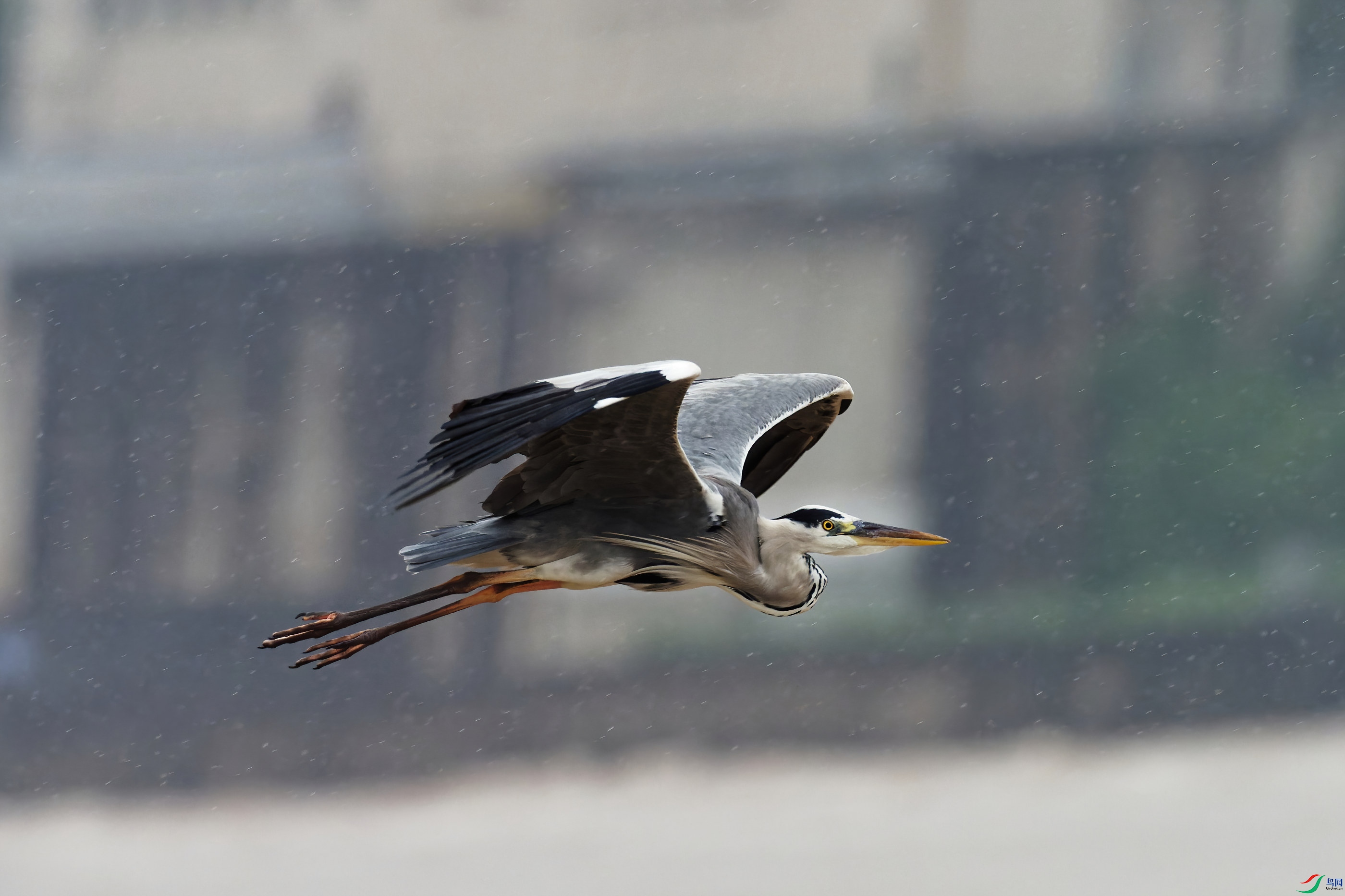 P9040160_DxO-d2.jpg