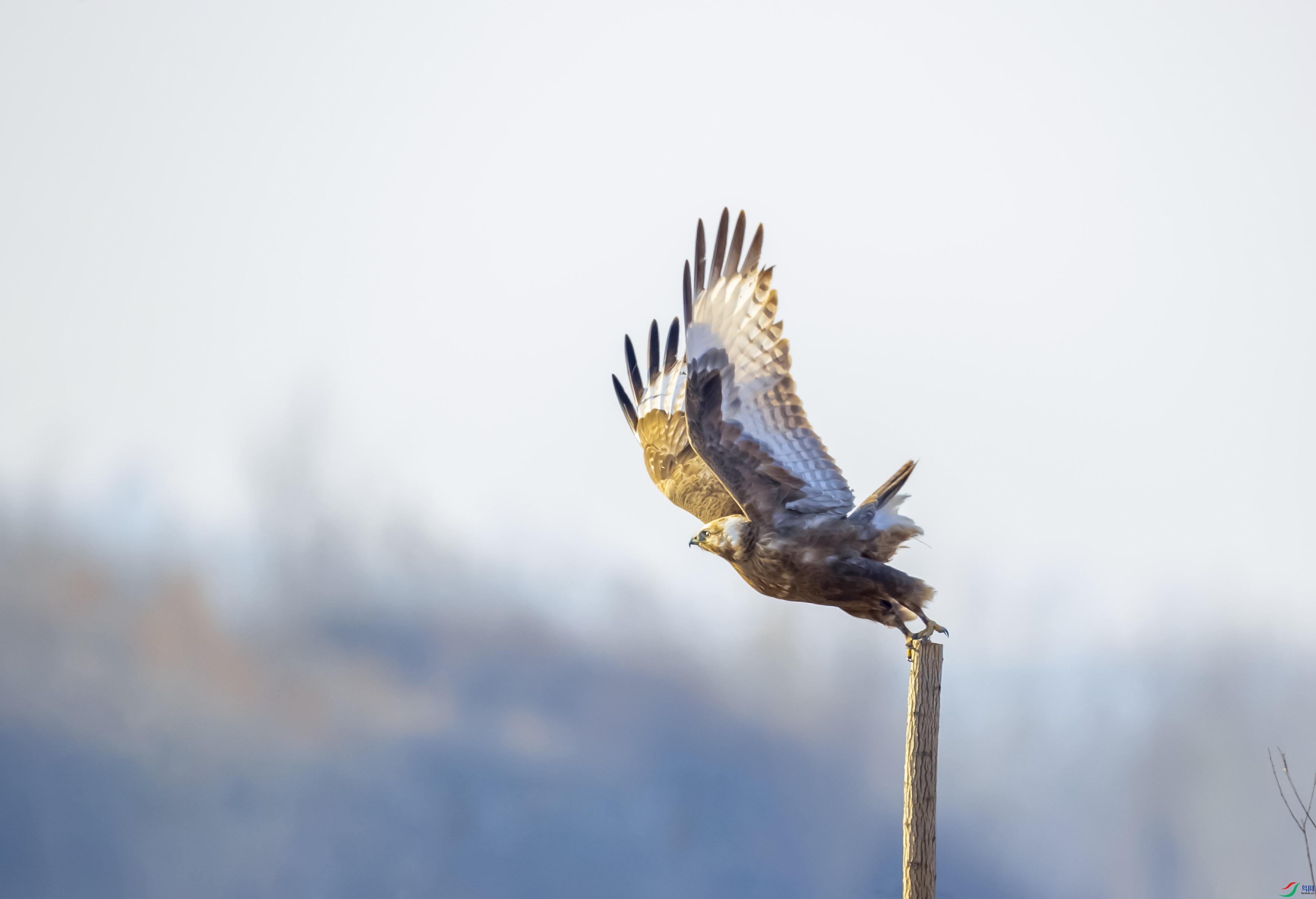 ���\����