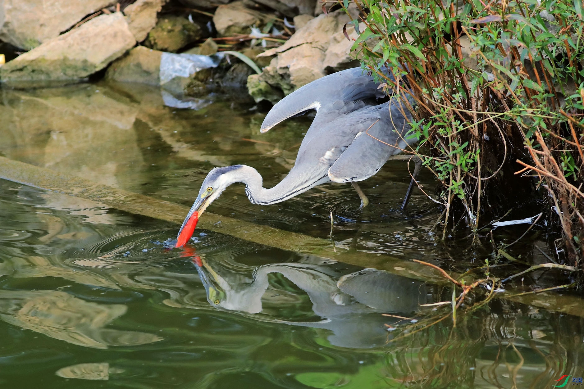 �����Ժ���2