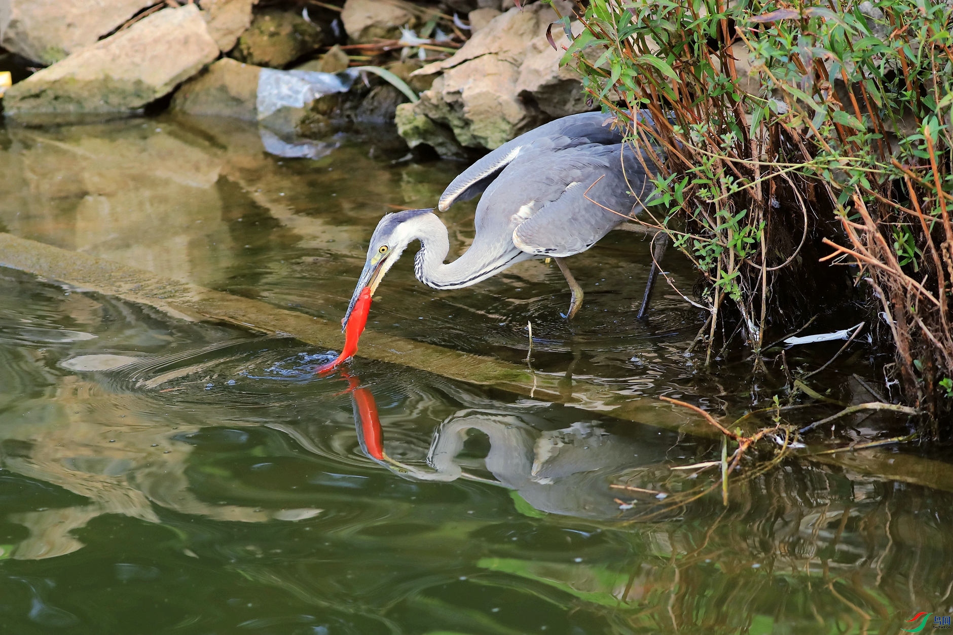 �����Ժ���3