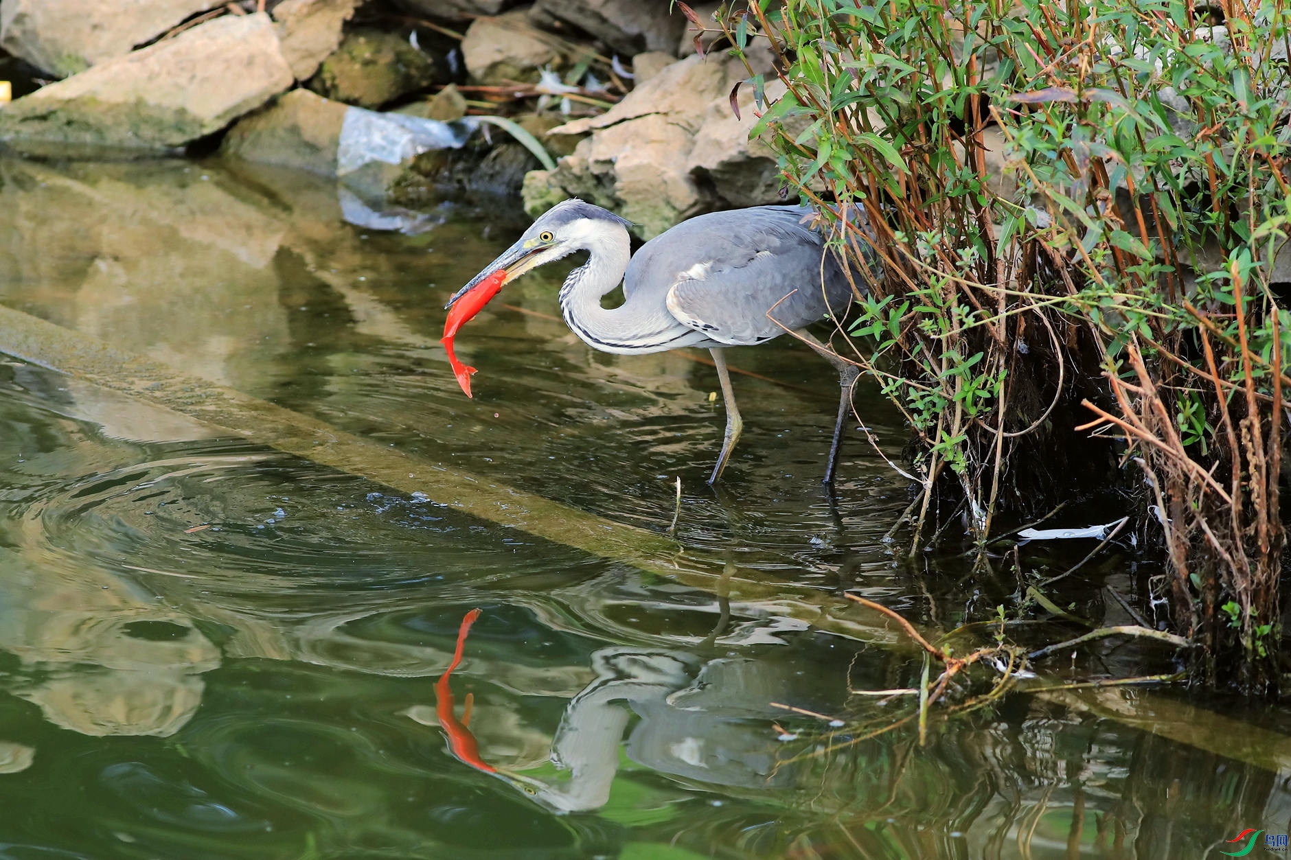 �����Ժ���6