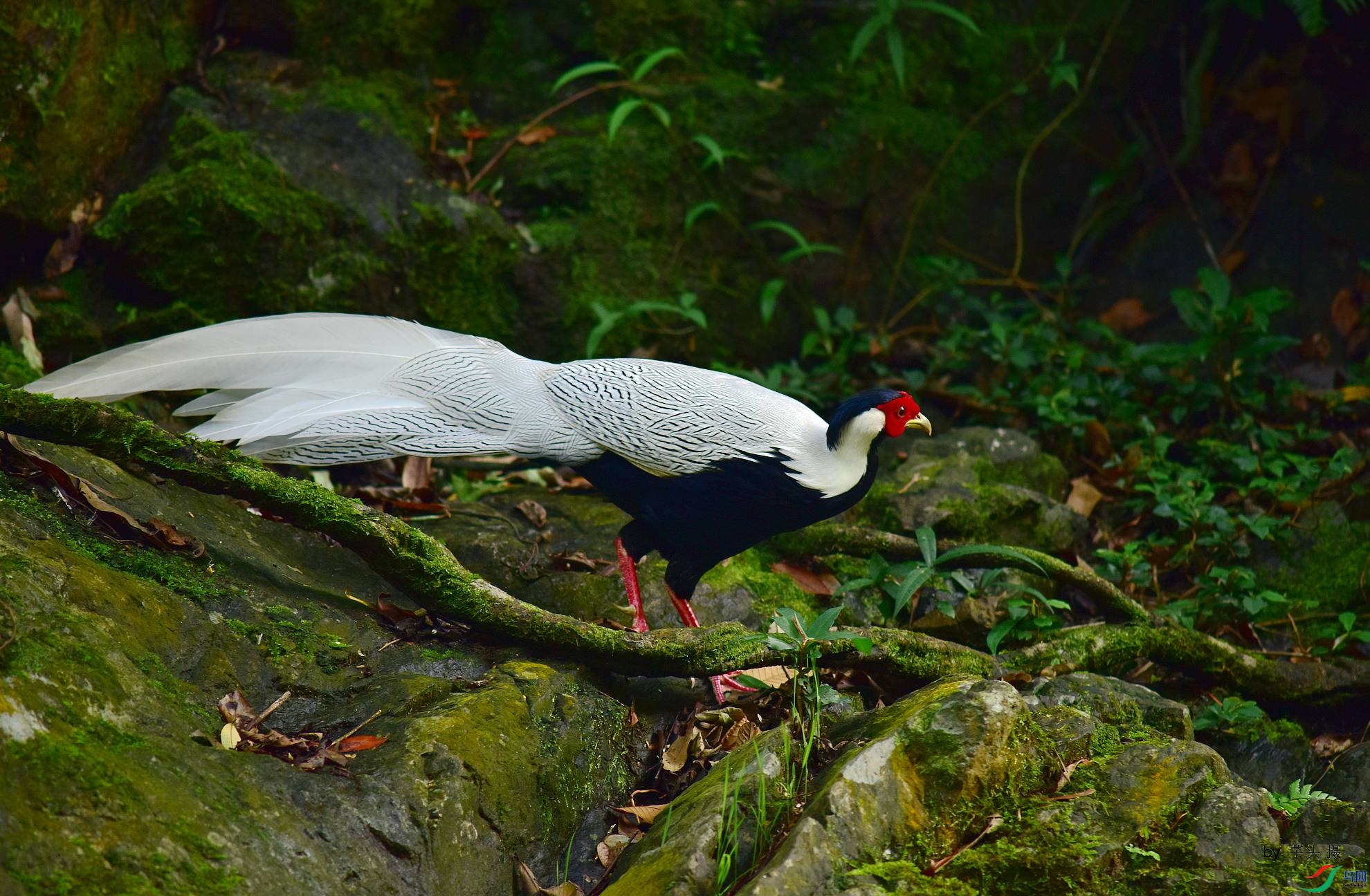 D8I_0180.jpg