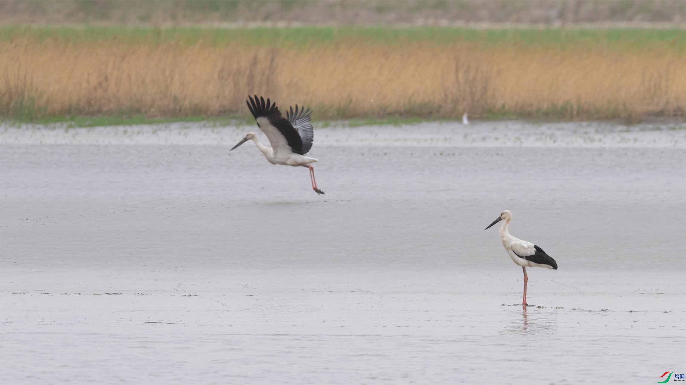 DSC_2585-3.jpg