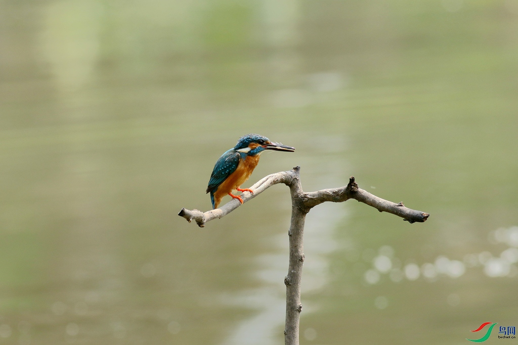 367A6006_����.jpg
