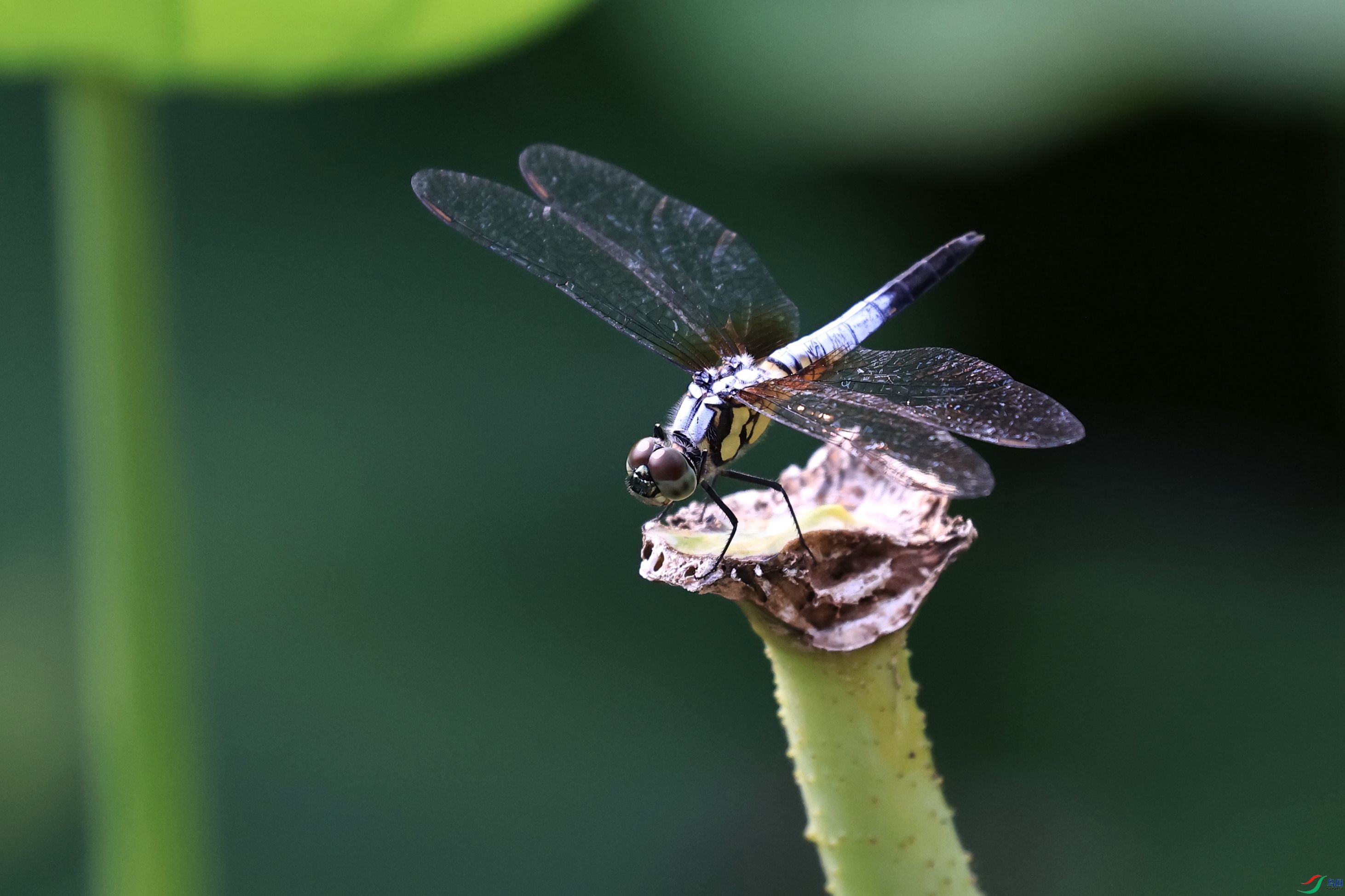 3W6A8704_����.jpg